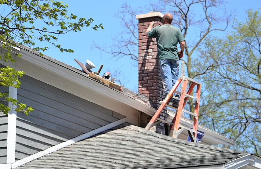 Chimney & Fireplace Inspections Services in Shirley, NY